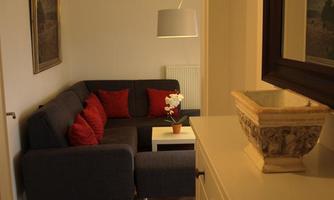 A cozy living room with a gray couch and red pillows. The room has wooden flooring and a small table with a plant.