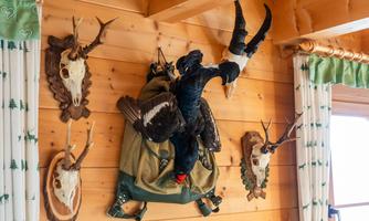 A wooden ceiling with various animal head trophies. In the center, a black bird is hanging from a backpack.