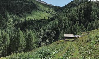 A tranquil mountain landscape with dense forests and a small house. The sky is clear and the surroundings feel peaceful.