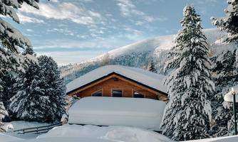 Chalet Typ Almsommer - Außenansicht und Lage