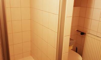 A small bathroom with a shower and a toilet. The walls are tiled white and there is a radiator.