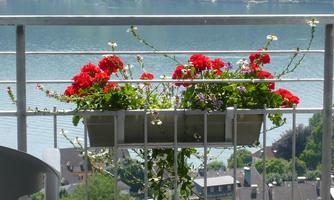 Blooming flower boxes with red geraniums and colorful flowers on a balcony. In the background, a calm lake glides under a clear sky.