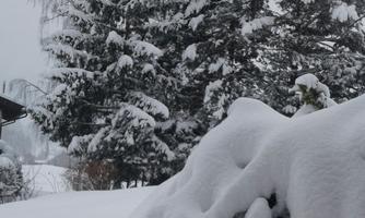 A snowy landscape with snow-covered trees. The sky is gray and the snowpack is thick.