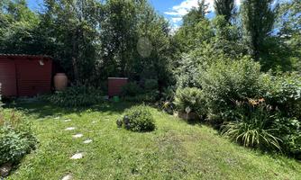 A well-kept garden with plenty of green grass and various plants. In the background, garden sheds and bushes are visible.