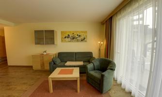 A cozy living room with a green sofa and an armchair. Large windows let in plenty of daylight.