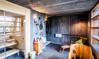 Sauna Toni top