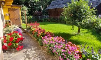 A well-maintained garden with colorful flower beds and lush green grass. In the background, two rustic wooden sheds can be seen.