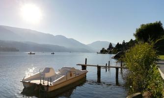 Der Sonne entgegen