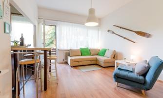 A modern living room with a comfortable sofa and a blue armchair. Large windows provide plenty of daylight and a pleasant atmosphere.
