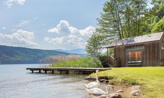 A tranquil lake with swans and a small wooden gazebo. Surrounded by trees and gentle hills under a clear sky.