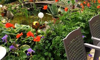 A beautiful garden with colorful flowers and a pond. In the foreground, there are two chairs, surrounded by vibrant plants.