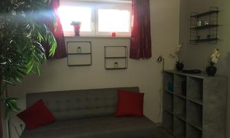A modern living room with a gray sofa and red cushions. Shelves are hanging on the walls and a plant is standing in the corner.