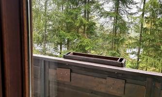 A balcony with a wooden railing and an empty flower pot. In the background, tall green trees stand.