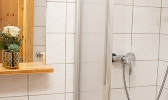A modern bathroom with a shower cabin, a sink, and a mirror. On the shelf next to the mirror, there is a small plant.