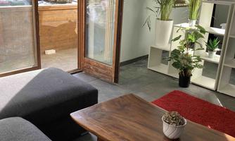 A bright living room with a gray sofa and a wooden coffee table. The room is decorated with plants and has large windows that let in plenty of light.