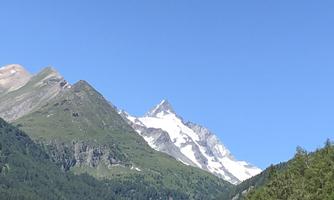 An impressive mountain panorama with snow-covered peaks and a clear blue sky. The forest in the foreground conveys a sense of untouched nature.