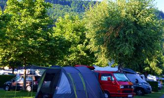 A campsite with green trees and several campervans. Tent and vehicles are situated on a grassy area.