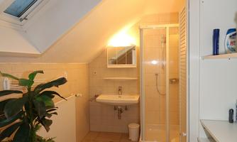A cozy bathroom with a skylight and warm light. It features a shower, a sink, and a small plant.