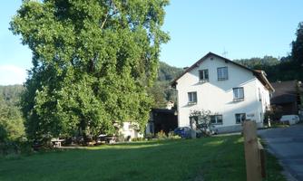 A quiet country house surrounded by green spaces and a large tree. In the background, gentle hills can be seen.