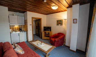 A cozy living space with a red couch and an armchair. In one corner, there is a small kitchenette and a television.