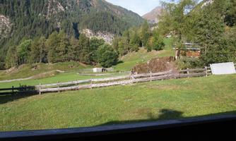 A beautiful Alpine landscape with green meadows and mountains in the background. The sky is clear, and there are some trees in the vicinity.