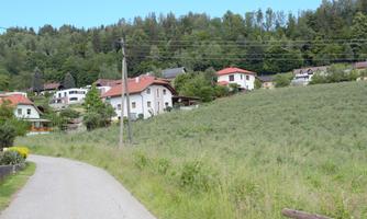 A peaceful landscape with a narrow path and some houses. In the background, there are trees and a clear sky.