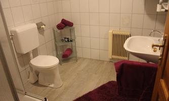 A bathroom with a toilet, a sink, and a shower area. There are towels in purple colors and a radiator.