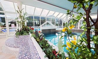 An indoor pool with large windows and plenty of natural light. Surrounded by plant decoration and colorful flowers.