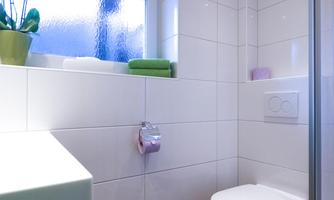 A modern bathroom with a shower and a toilet. The large window lets in plenty of light and there are plants for decoration.