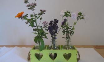 A green wooden box with little hearts contains several vases with colorful flowers. The flowers are fresh and give the room a cheerful atmosphere.