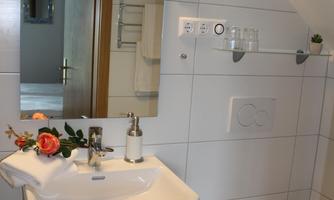 A modern bathroom with a sink and a mirror. There is a clean toilet and decorative elements such as a flower.