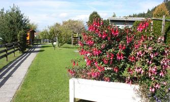 A beautiful garden with colorful flowers and a neatly maintained path. In the background, trees and a hut are visible.