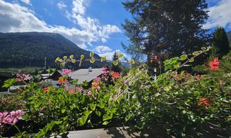 A colorful flower box with various flowers. In the background, mountains and a clear blue sky are visible.