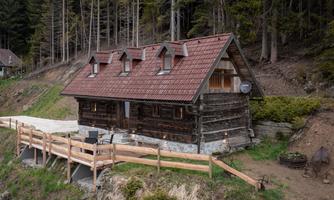 A cozy wooden house amidst trees. The path is lined with wooden planks and leads to a picturesque setting.