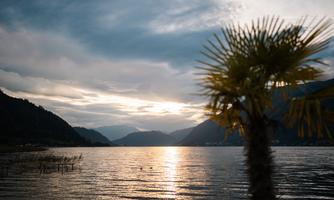 A calm lake with wooded hills in the background and a palm-like tree in the foreground. The sun gently reflects on the water's surface.