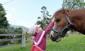 A маленькая девушка strokes a horse on a green meadow. In the background, trees and a hill can be seen.