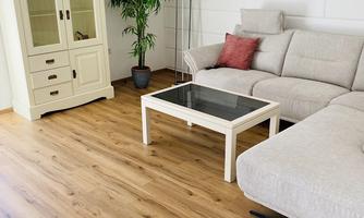 A bright room with a comfortable sofa and a table. In the background, there is a plant holder and a cabinet.