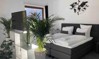 A modern bedroom with a large bed and fresh bedding. Plants and a television give the room an inviting atmosphere.