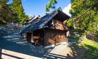 A cozy wooden house amidst trees. The sun shines on the facade and the sky is blue.