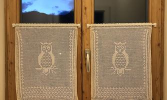 Two windows with wooden frames, decorated with bright curtains featuring an owl pattern. In the background, soft lighting conditions and clouds are visible.