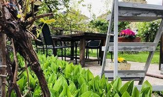 A cozy garden with green plants and a wooden table. In the background, there are a few chairs and colorful flowers in pots.
