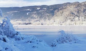 A snowy landscape with trees and a frozen lake. In the background, gentle hills and a clear blue sky can be seen.