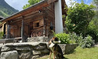 A cozy wooden house with a beautiful garden and a dog sitting in front of it. The surroundings are green and mountainous, with a clear sky.