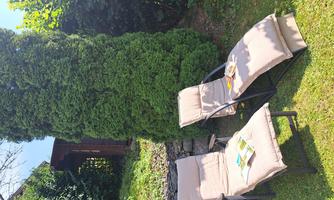 Two loungers are in the garden under a tall tree. On the loungers are some books, and the surroundings are green and sunny.