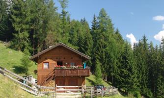 A cozy wooden house in the greenery, surrounded by tall trees. The path leads directly to the house, which has an inviting terrace.