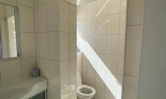 A bright bathroom with white tiles and a large mirror. It contains a sink, a toilet, and rugs on the floor.