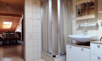 A modern bathroom with a shower cabin and a sink. In the background, a dining area is visible.