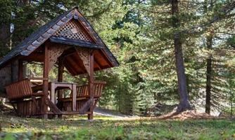 A cozy pavilion surrounded by tall trees. The ground is covered with green grass and the sky is clear.