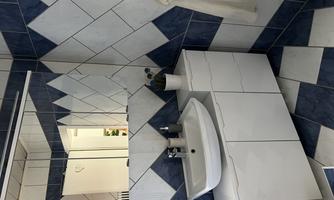 A modern bathroom with blue and white tiles. There is a sink, a mirror, and a plant on the shelf.