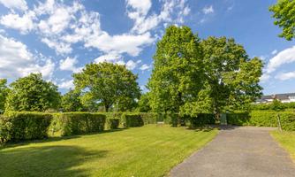 A green meadow with large trees and a clear blue sky. The path leads into the green surroundings with well-maintained hedges.